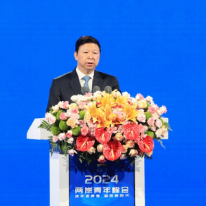 2024两岸青年峰会在北京开幕